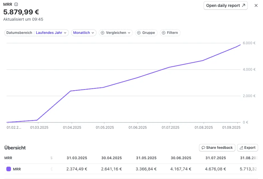 MRR Entwicklung über das Jahr